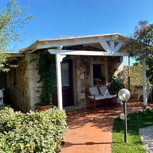 Gli Olivastri Appartamento
